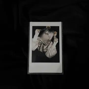 라부시쿠 하야테 폴라로이드