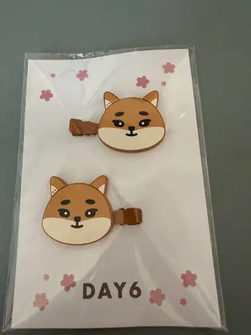 DAY6 KE 케이 헤어 클립 헤어핀