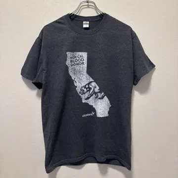 FRUIT OF THE LOOM 티셔츠 노던 캘리포니아 US 구제 의류