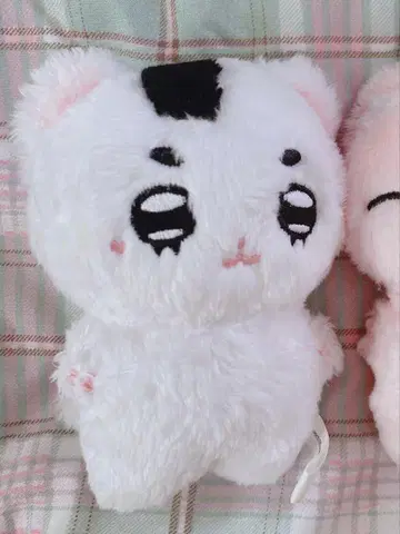 NCT 태용 봉제 인형