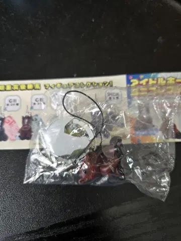 아이돌 호스 미니 컬렉션 로맨틱 워리어