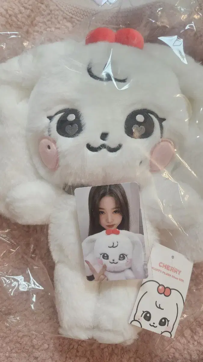 아이브 미니브 스쿨 팝업 체리30cm+특전 원영포카포함