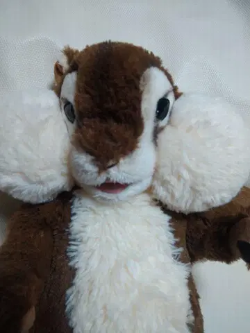 JA 은행 리스 봉제 인형