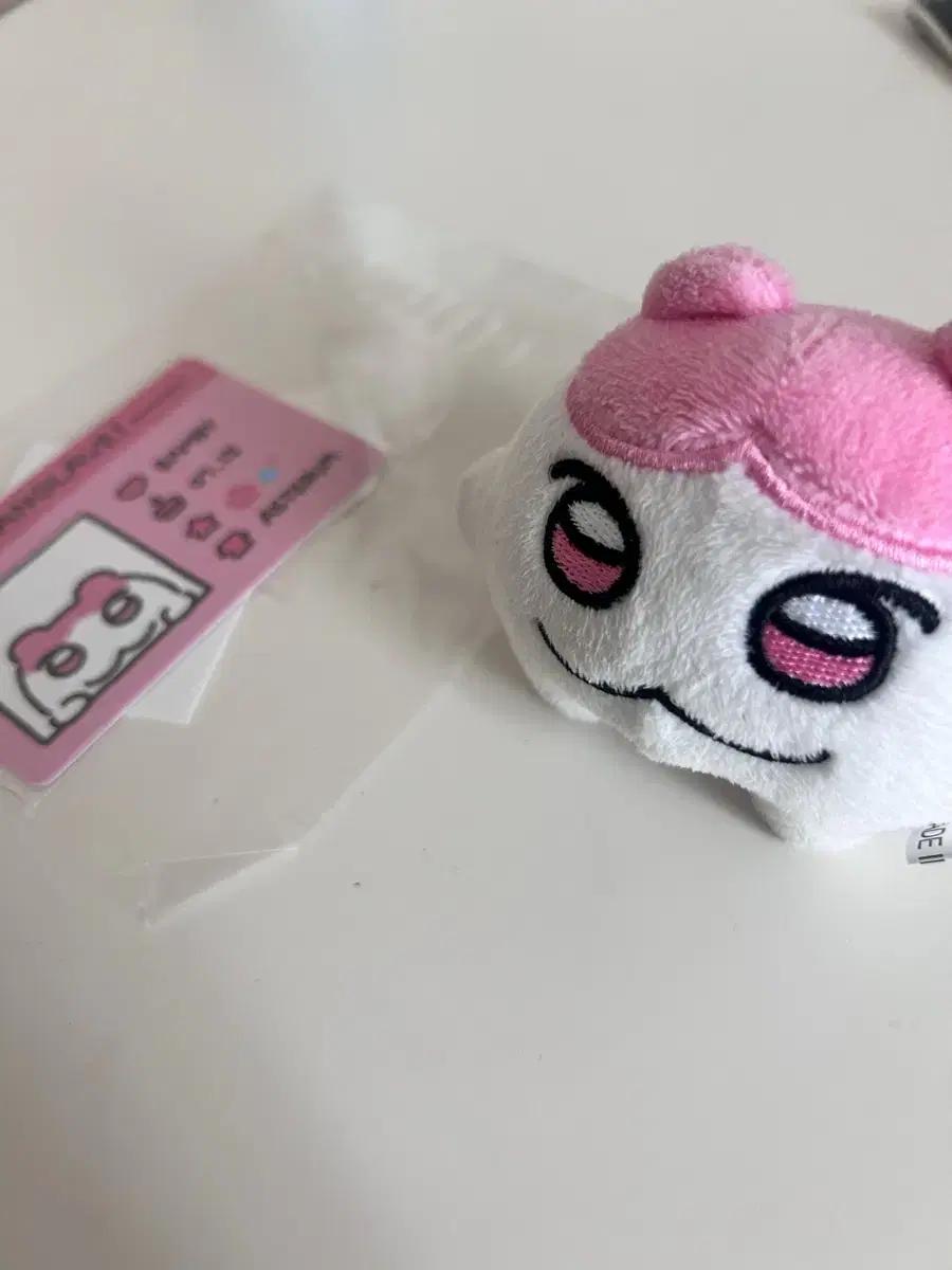Jjang Layve Bamby wts