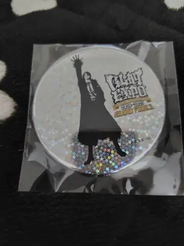 GLAY EXPO 2024-2025 캔뱃지 랜덤 굿즈 TERU
