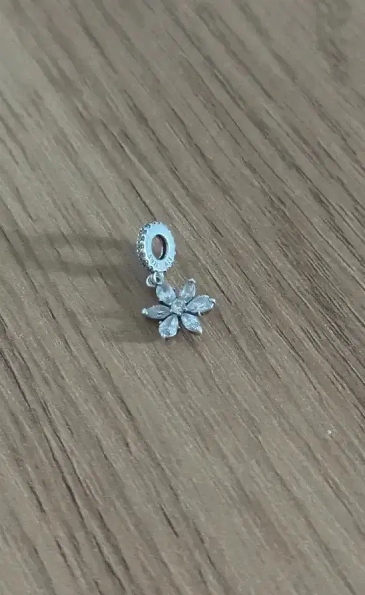 Pandora Bracelet Dangle Charm