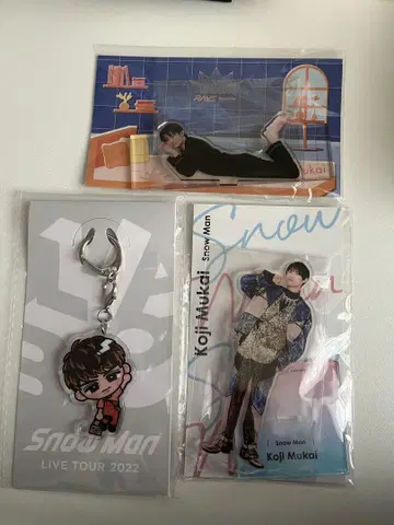 Snow Man 무카이 코지 아크릴 스탠드 아크링 키링