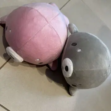 아자라시 쿠운 봉제 인형