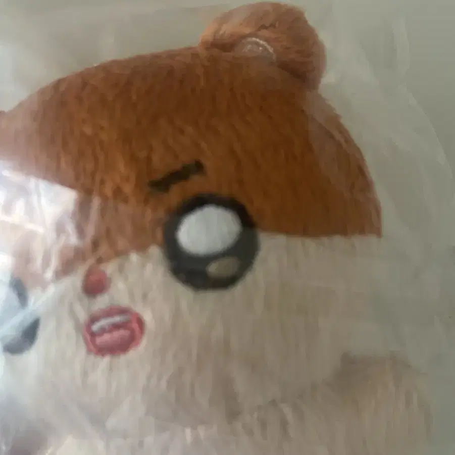 원가이하양도 모여봐요 툽깅의 숲 투바투 태현 인형 날다람텬