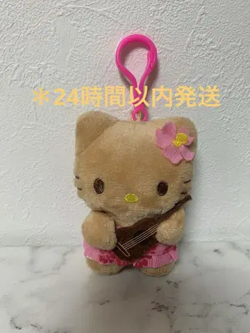 일광화상 키티