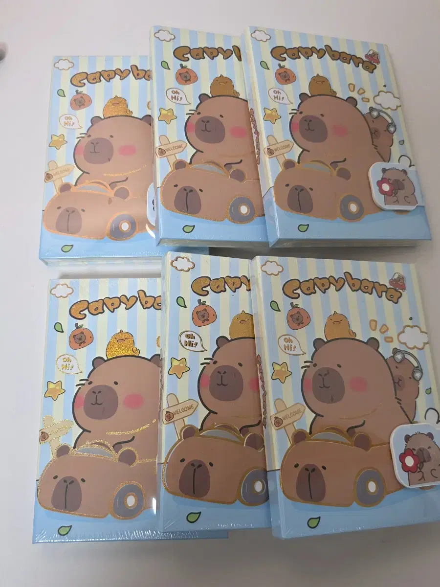 [새상품] 카피바라 만년 다이어리 6개. 카피바라 캐릭터