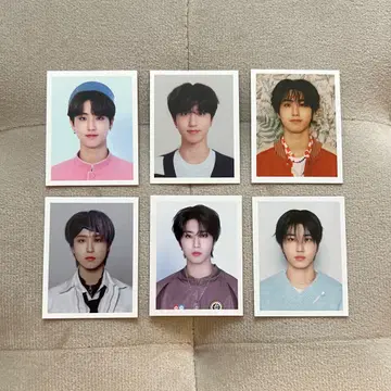 Stray Kids 스키즈 시그리 펜미 FC 증명 사진 한