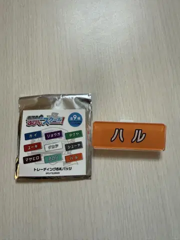 초특급 후지비지 명찰 배지 하루