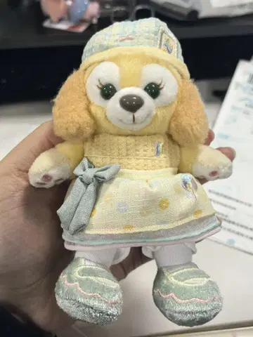 쿠키 앤 봉제 인형
