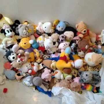 직접 전달 한정 봉제 인형 세트