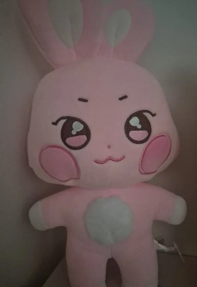 Anities basic doll Jjungeurami Tteongbyeol