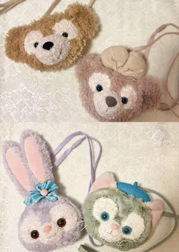 닷피 코인 케이스