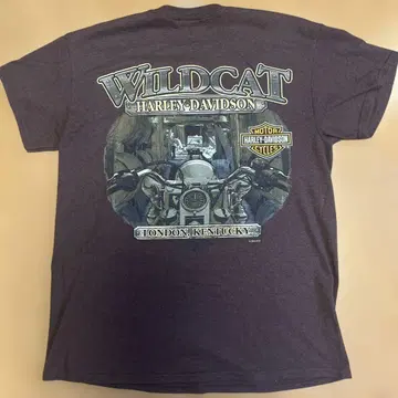 할리 데이비슨 Wildcat 티셔츠 M