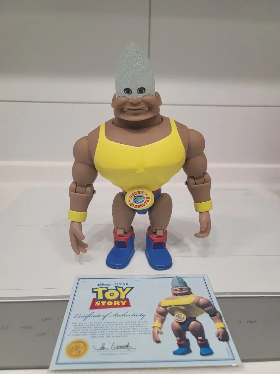 토이스토리 1대1 록키