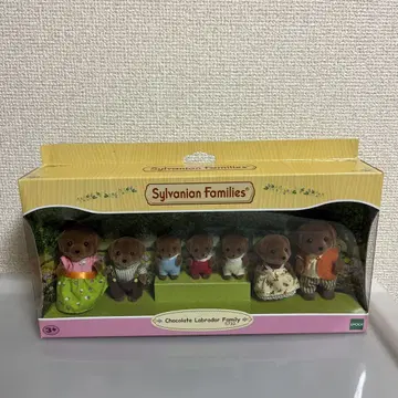 실바니아 초콜릿 라브라도 리트리버 패밀리
