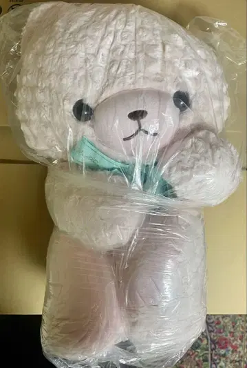 다이토 마이 큐트 베어 봉제 인형