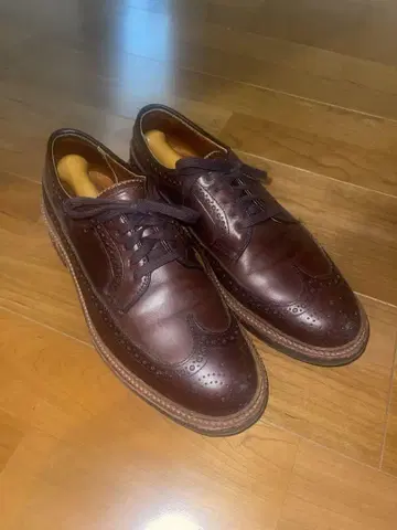 새상품급 알든 롱 윙 칩