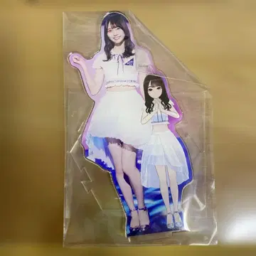 노기자카46 아크릴 스탠드 노기자카의 프랙탈 상위 혜택