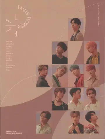SEVENTEEN CARAT 춤추는 꽃잎(Fallin' Flower)