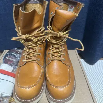레드윙 9877