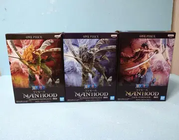 원피스 MANHOOD 3개 세트 로저 흰 수염