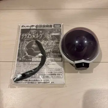 포켓몬 테라스타 ORB