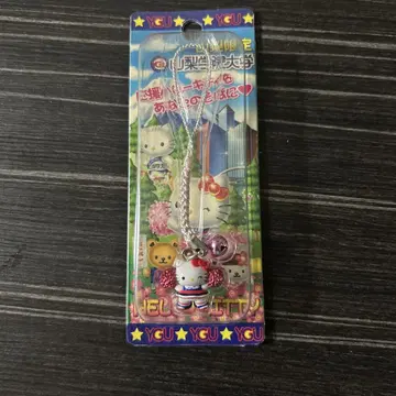 야마나시 학원 대학 치어걸 치어리더 응원 키티 지역 특산품