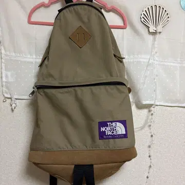 THE NORTH FACE 베이지 백팩