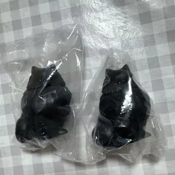 산책 포메 라이트 블랙
