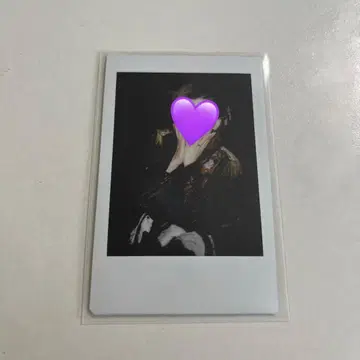 유손 핑 폴라로이드