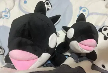 오르카 봉제 인형