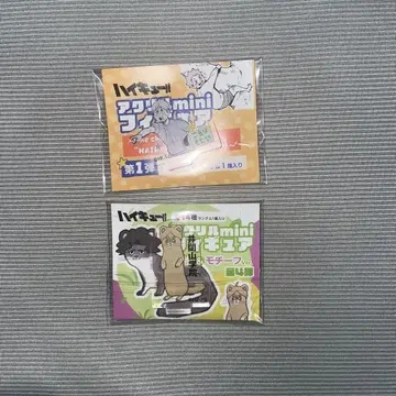 하이큐 팬 파크 고모리 모토야