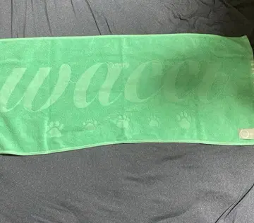 wacci 2019 2020 타월