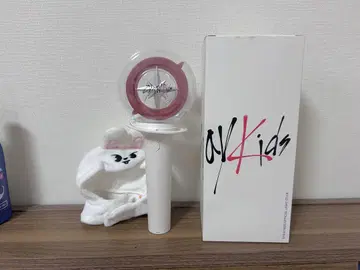 Stray Kids 응원봉 ver1 Leebit 펜라 커버 포함