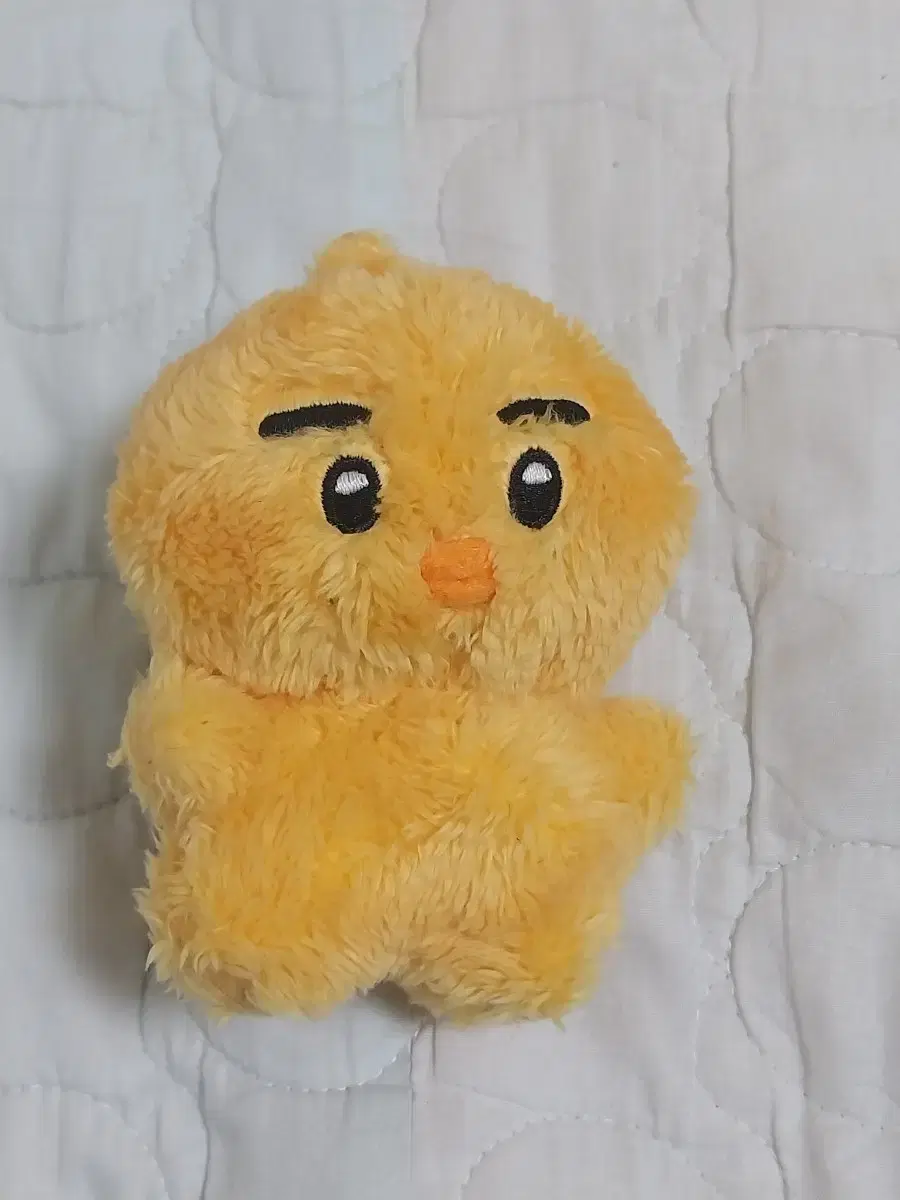 엔하이픈 니키 인형 싸게 판매