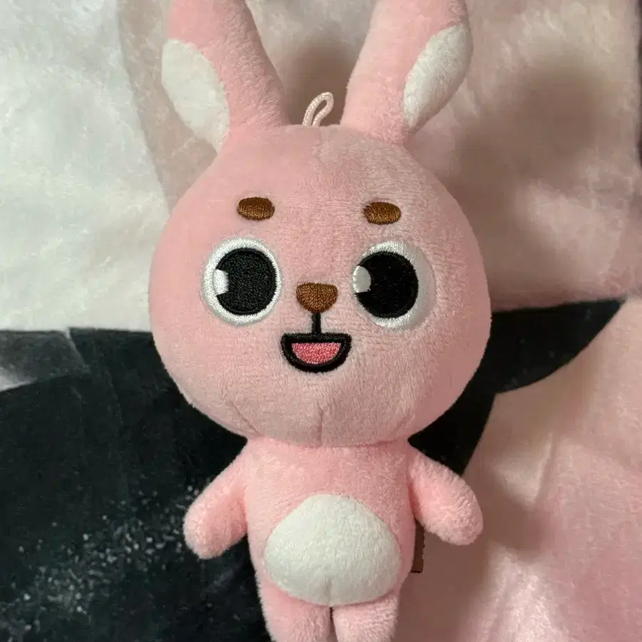 DAY6 pil wonpil 日焼け プチマルズ キーリング DAY6 pil wonpil 日焼け プチマルズ キーリング