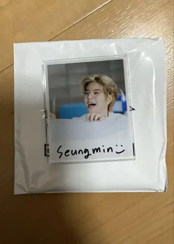 straykids 승민 랜덤 아크릴 마그넷 toyworld