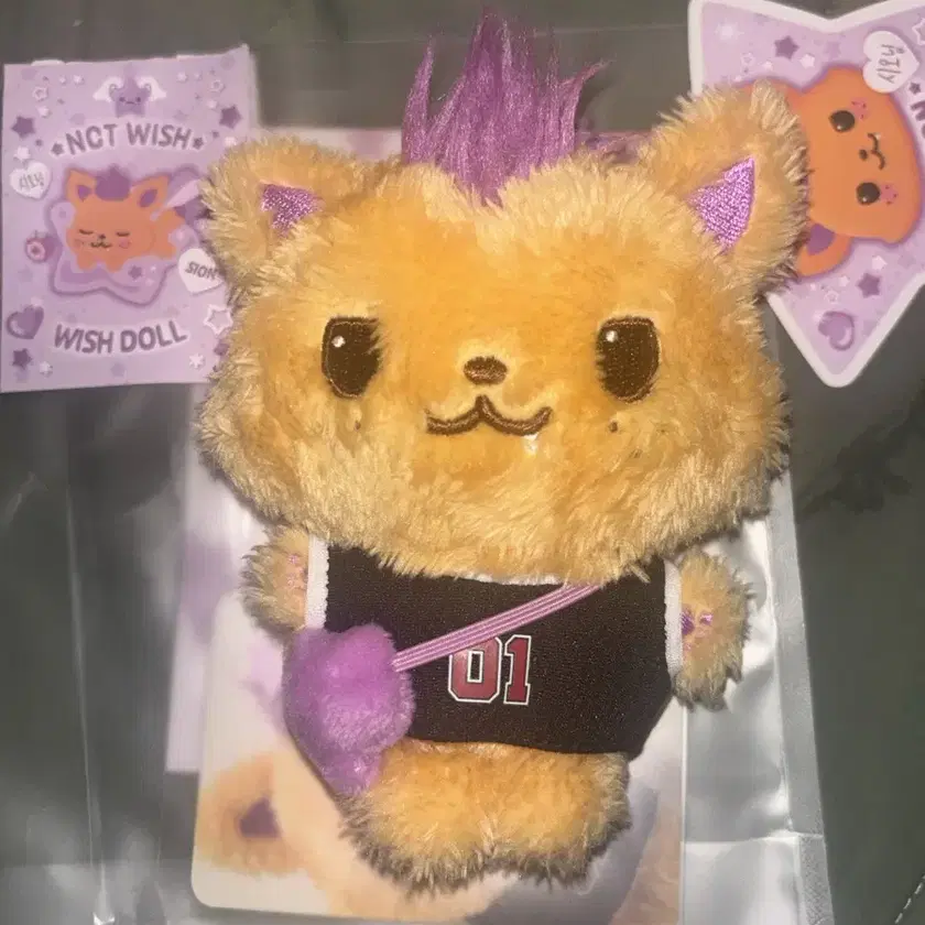 nct wish doll シオン　シオニン nct Wish Xioning doll sealed | eBay