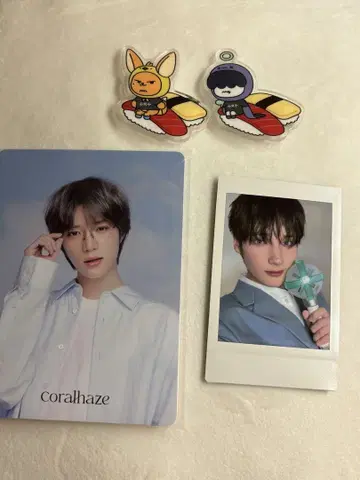 txt 지역 풀바투 도쿄 코랄 헤이즈 인스턴트 사진