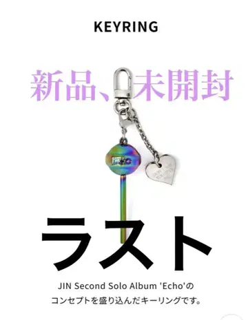 신상품, 미개봉, BTS, 진, [Echo] KEYRING