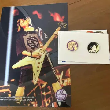 glay 엔터테인먼트 복권 HISASHI 클리어 포스터 핀즈 세트