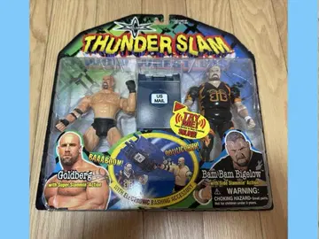 토이비즈 WCW NWO 골드버그 vs 비가로 WWE 피규어