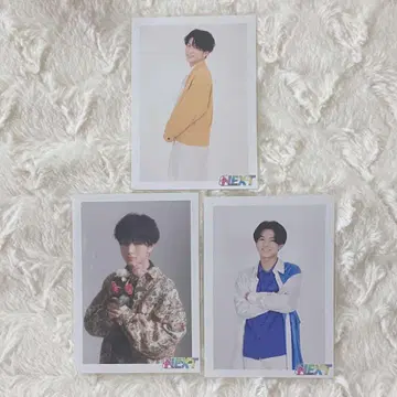 초특급 하루 브로마이드 에비네