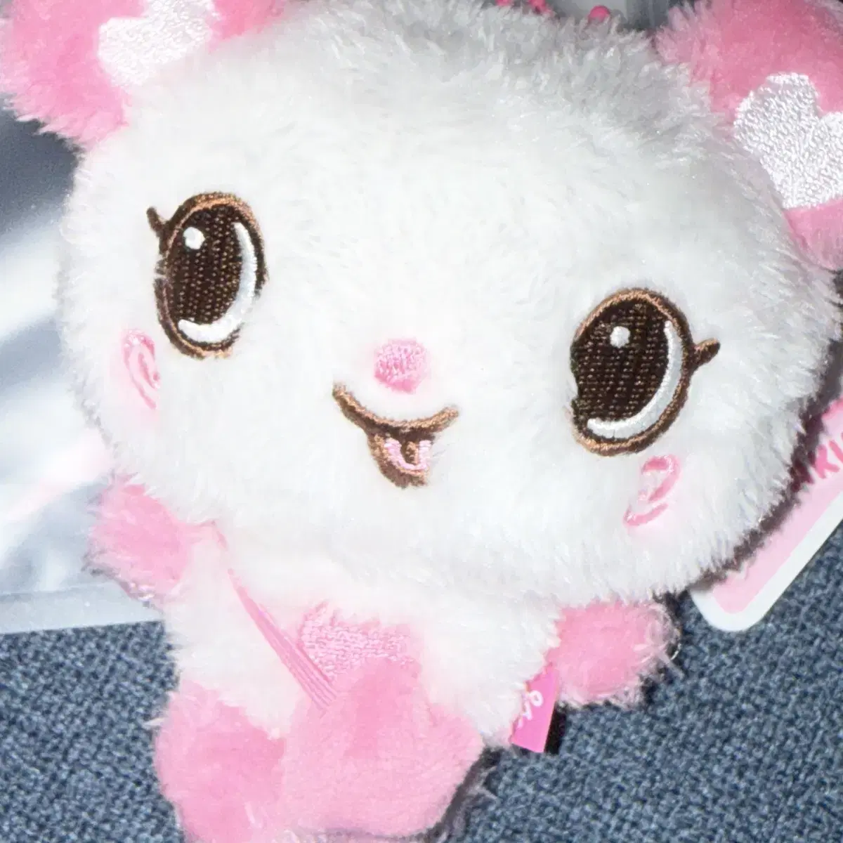 NCTWISH サクヤ WISH DOLL nct Wish Sakuya Doll Pang | eBay