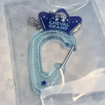 슈발 그랑 카라비너
